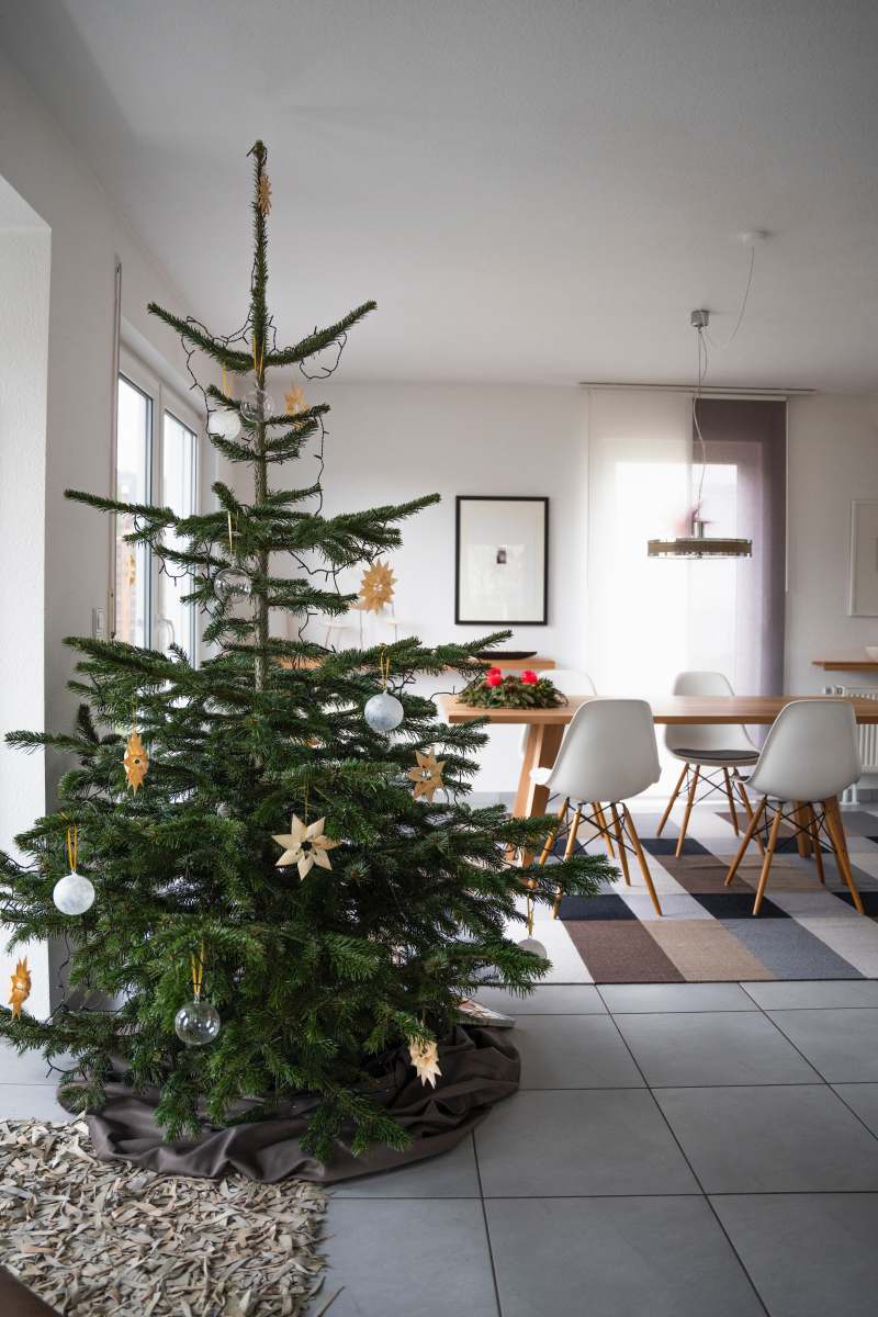 christmas green christmas tree with baubles and string lights table
